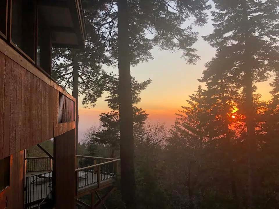The Fireside Inn Айділлвайлд Екстер'єр фото